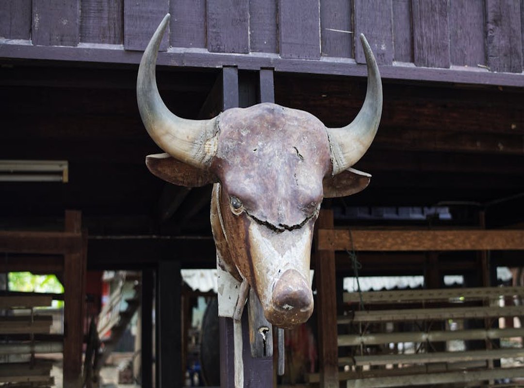 How Financial Advisors Work Ontpeconomy