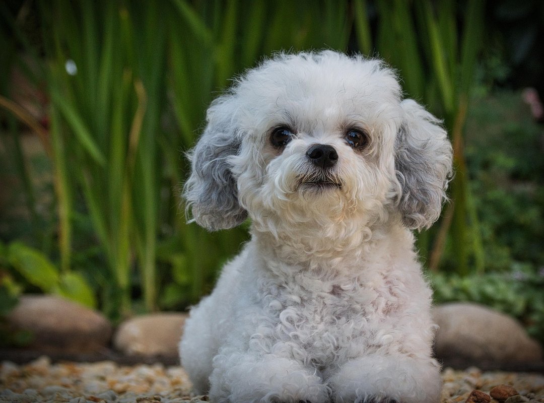 How Many Financial Advisors Should You Have Ontpeconomy