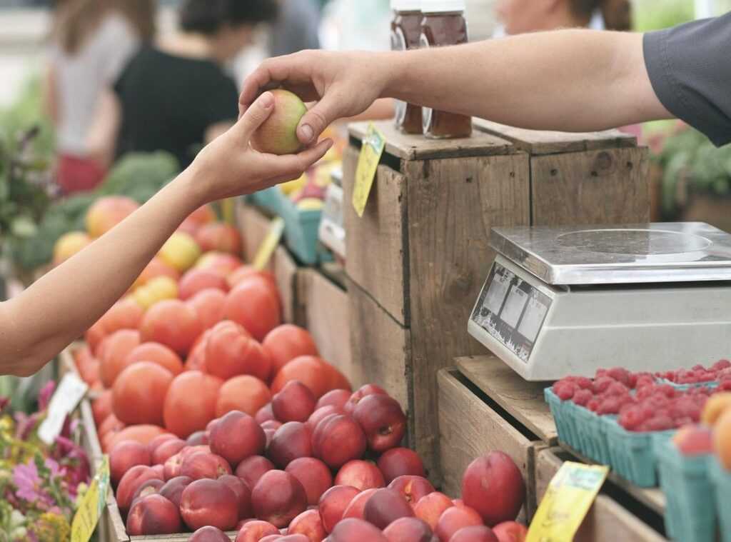 market influencers dynamics