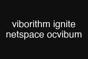 viborithm ignite netspace ocvibum